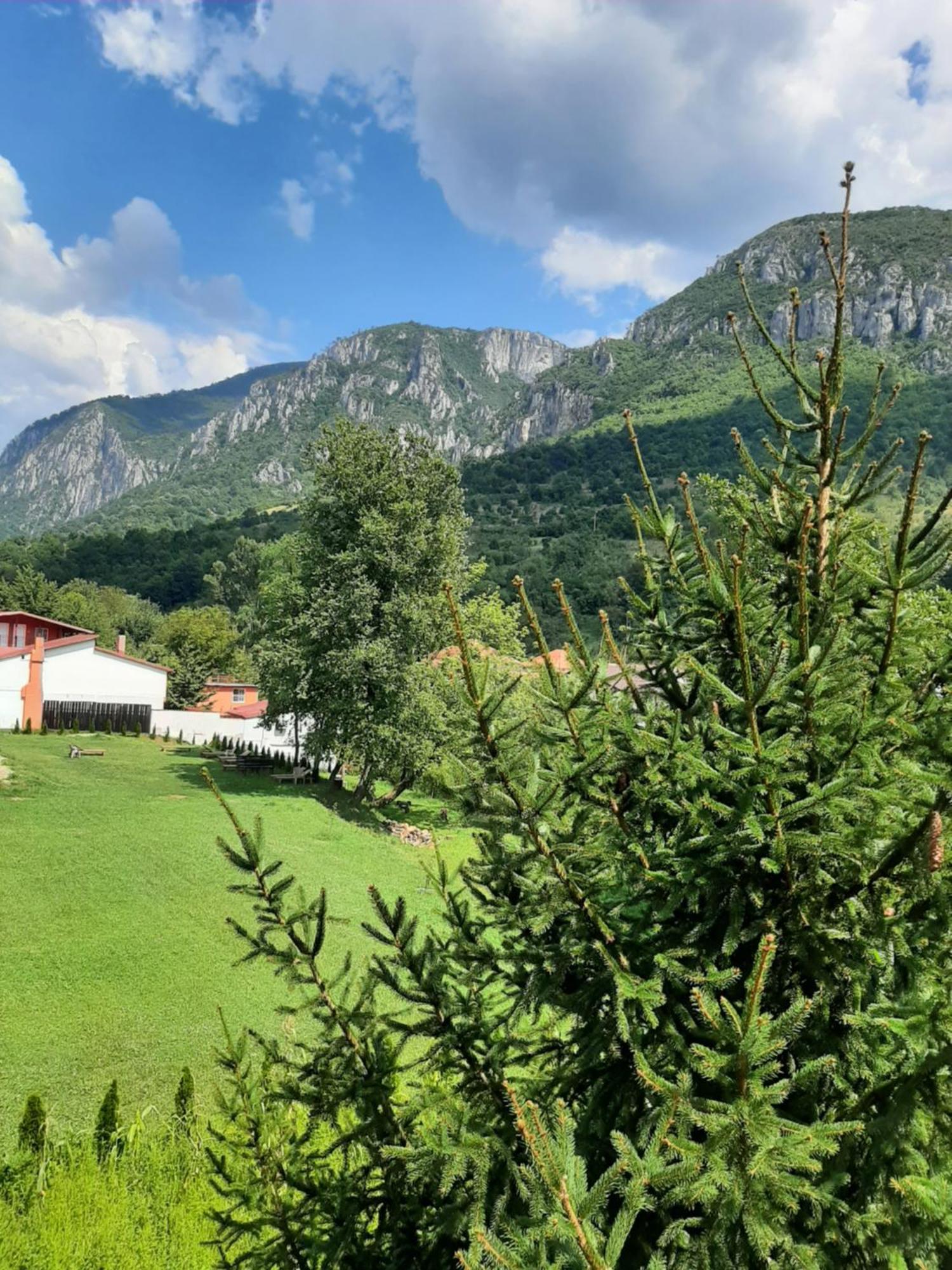 Pensiune Safrane Băile Herculane Zewnętrze zdjęcie