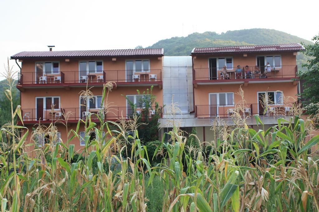 Pensiune Safrane Băile Herculane Pokój zdjęcie